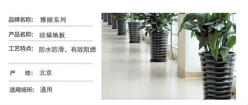 洁福雅丽系列 3.jpg