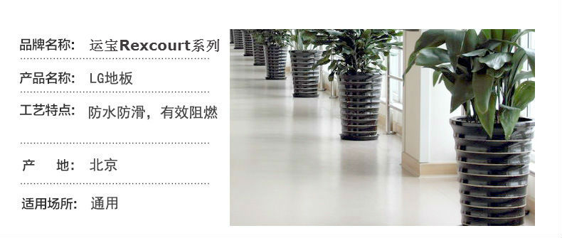 运宝(Rexcourt)系列.jpg