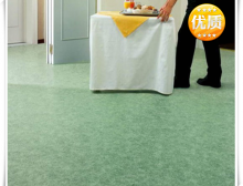 洁弗乐美宝琳野心 HD 地板