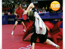 乒乓球运动地板TARAFLEX